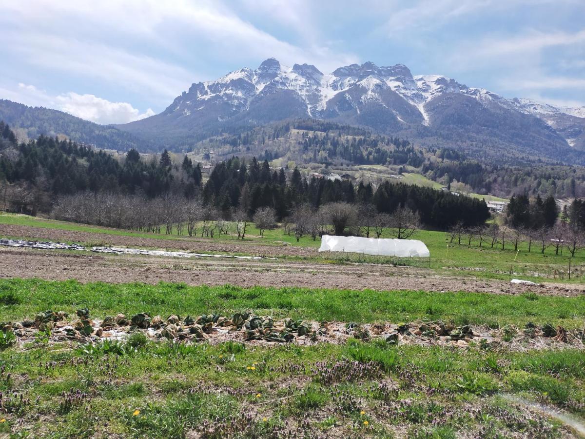 Agritur Maso Flonkeri Bed & Breakfast Bosentino Luaran gambar